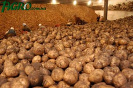 1agro.com.ua