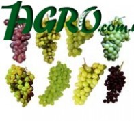 1agro.com.ua