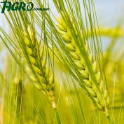 1agro.com.ua
