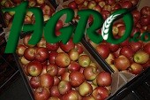 1agro.com.ua
