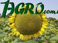 1agro.com.ua