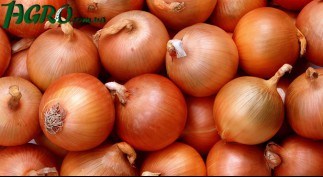 1agro.com.ua