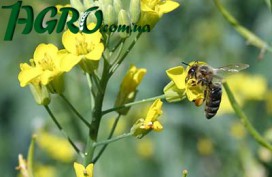 1agro.com.ua