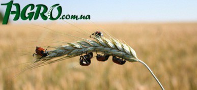 1agro.com.ua