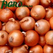 1agro.com.ua