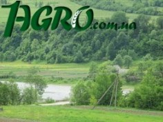 1agro.com.ua
