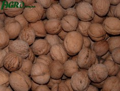 1agro.com.ua