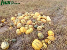 1agro.com.ua