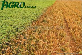 1agro.com.ua
