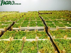 1agro.com.ua