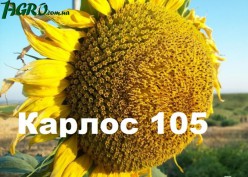 1agro.com.ua