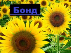 1agro.com.ua