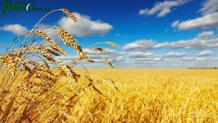 1agro.com.ua