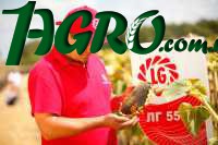 1agro.com.ua