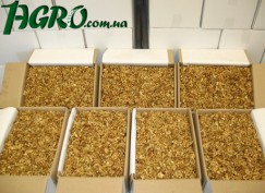 1agro.com.ua