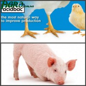 1agro.com.ua