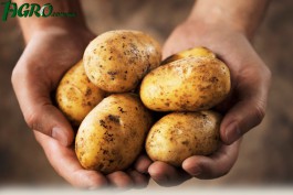 1agro.com.ua