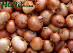 1agro.com.ua