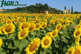 1agro.com.ua