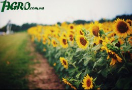 1agro.com.ua
