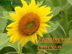 1agro.com.ua