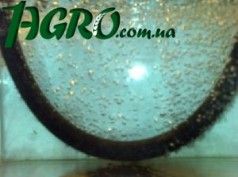 1agro.com.ua