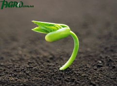1agro.com.ua