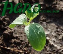 1agro.com.ua