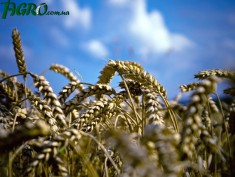 1agro.com.ua