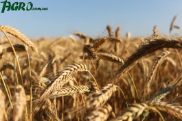 1agro.com.ua