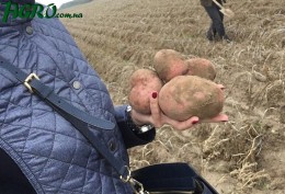 1agro.com.ua