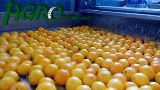 1agro.com.ua