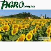 1agro.com.ua