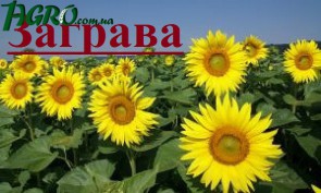 1agro.com.ua