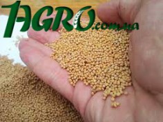 1agro.com.ua