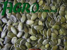 1agro.com.ua