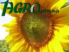 1agro.com.ua