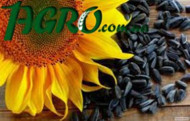 1agro.com.ua