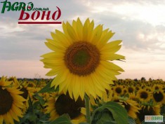 1agro.com.ua