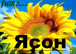 1agro.com.ua