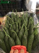1agro.com.ua