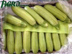 1agro.com.ua
