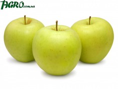 1agro.com.ua
