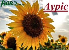 1agro.com.ua