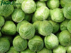 1agro.com.ua