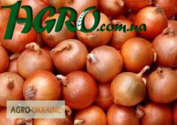 1agro.com.ua