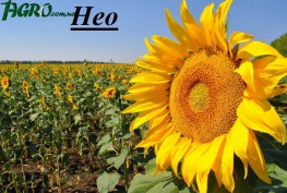 1agro.com.ua