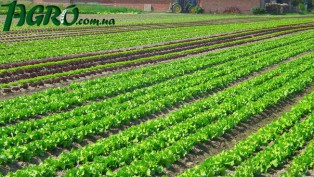 1agro.com.ua