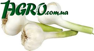 1agro.com.ua
