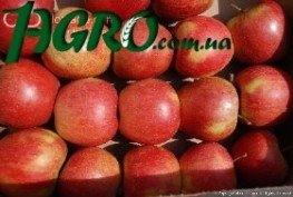 1agro.com.ua